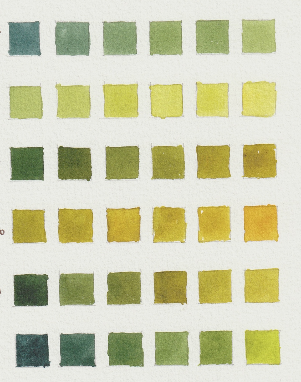 A detailed leaf study page with colour notes, values, and labelled observations