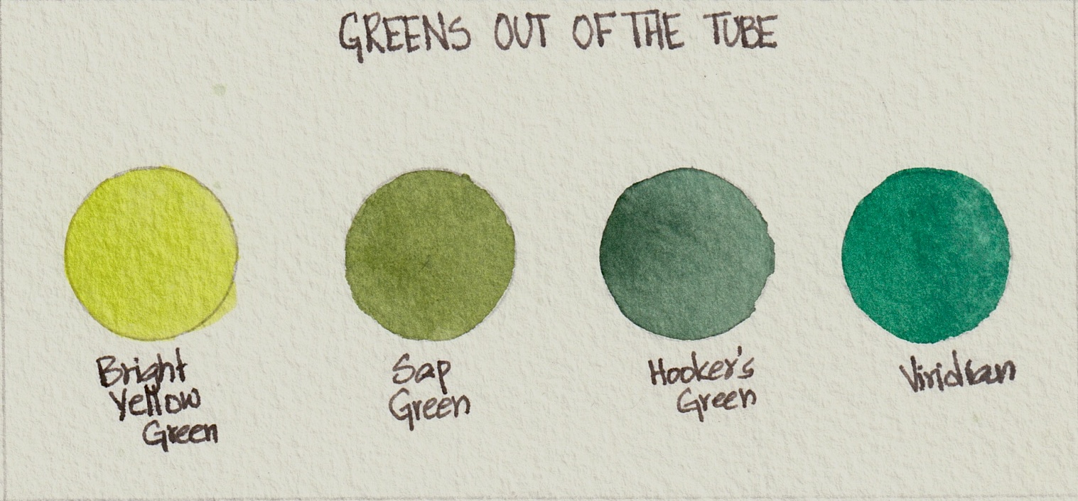 A beginner-friendly watercolour palette, brushes, and sketchbook page for exploring Australian greens